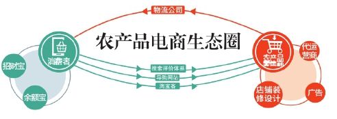 生鲜电商生态圈有哪些特点是如何构建的